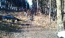 IMAG0282